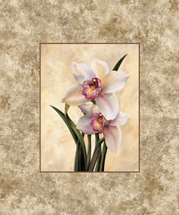 Framed Perfection II Print