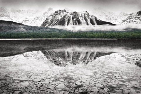 Framed Waterfowl Lake I BW with Color Print