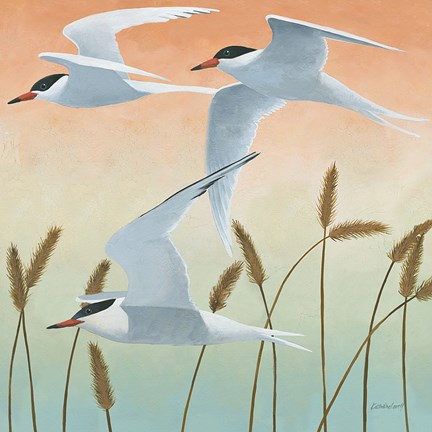 Framed Free as a Bird II Print