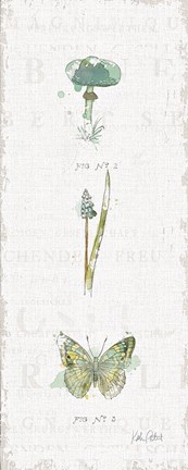 Framed In the Forest XI Print