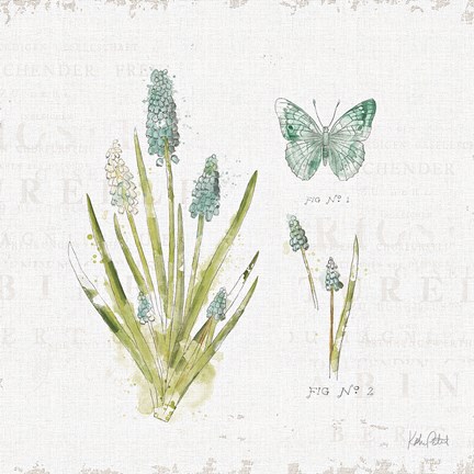 Framed In the Forest VII Print