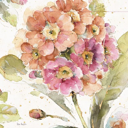 Framed Country Bloom VI Print