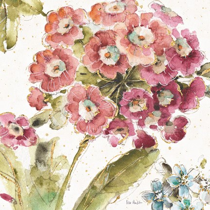 Framed Country Bloom IV Print