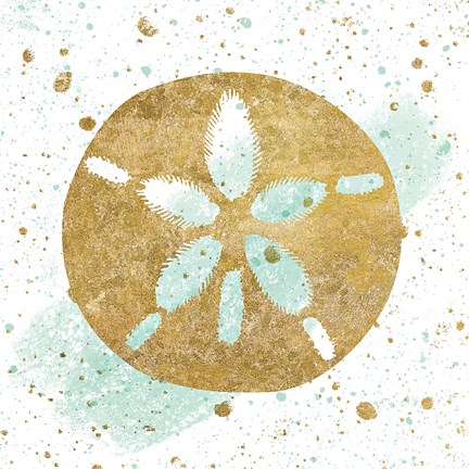 Framed Silver Sea Life Aqua Sanddollar Print