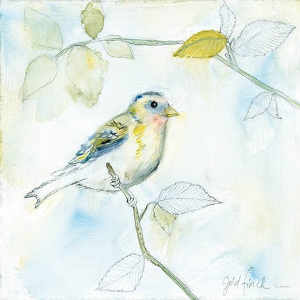Framed Sketched Songbird I Print
