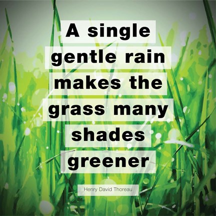Framed Single Gentle Rain - Henry Thoreau Quote (Vibrant) Print
