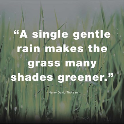 Framed Single Gentle Rain - Henry Thoreau Quote (Dark) Print