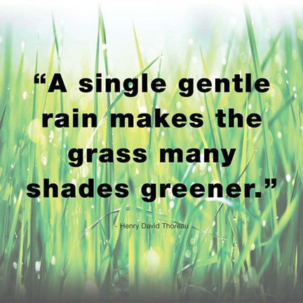Framed Single Gentle Rain - Henry Thoreau Quote (Light) Print
