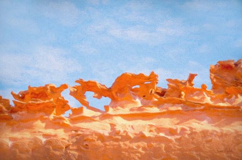 Framed Fins II Print