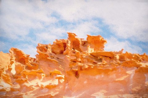 Framed Fins III Print