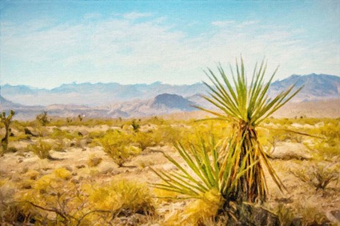 Framed Utah Desert Yucca Print