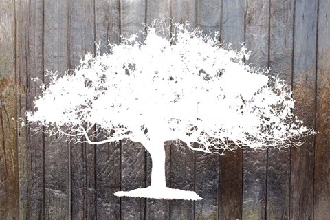 Framed White Tree on Wood Print