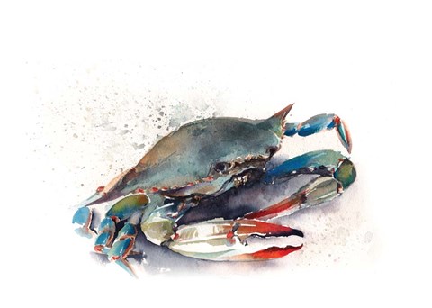 Framed Crab II Print
