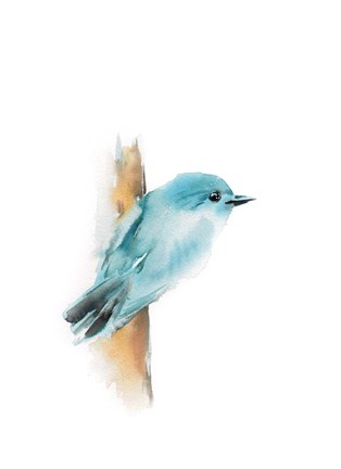 Framed Blue Bird I Print