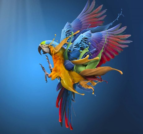 Framed Flying Colours Print