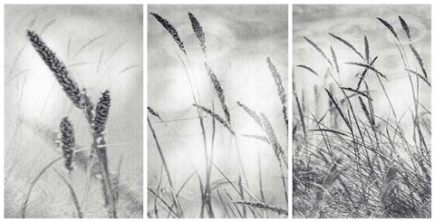 Framed Wilderness Print