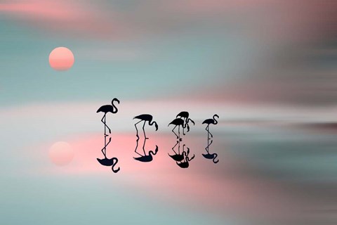 Framed Family Flamingos Print