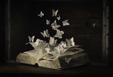 Framed Lepidopterology Print