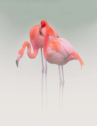 Framed Just We Two Print