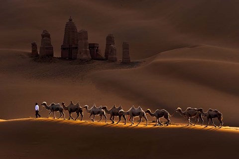 Framed Castle And Camels Print