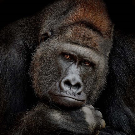 Framed One Moment in Contact Print