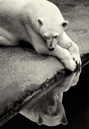 Framed Who Is That Beauty In The Water Print