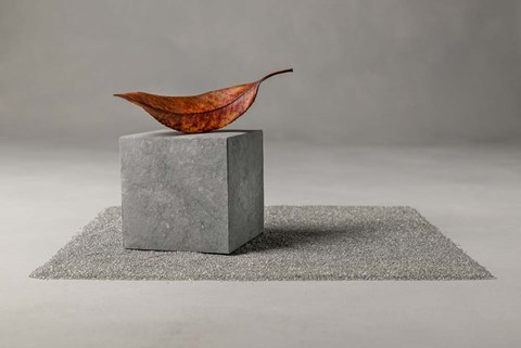 Framed Out of Time Print