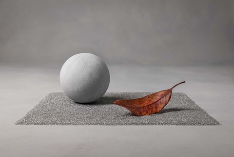 Framed Moon Landing Print