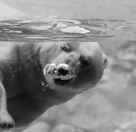 Framed Bubbles Print