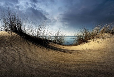 Framed Dunes Print