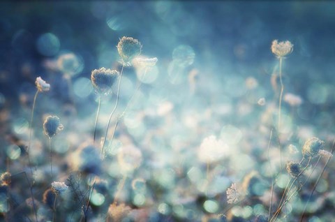 Framed Diamonds Print