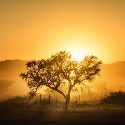 Framed Golden Sunrise Print
