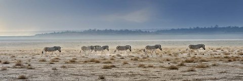 Framed Promenade Print