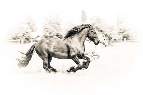 Framed Two Friends Print