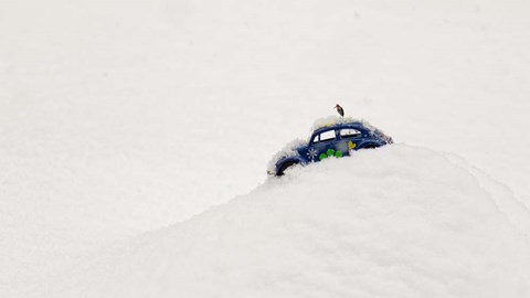 Framed Hard Return From Vacation Print