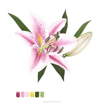 Framed Brighton Blooms II Print