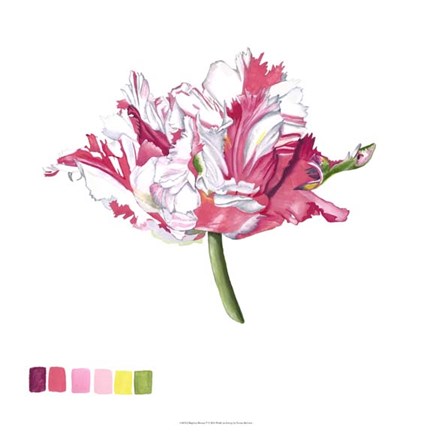 Framed Brighton Blooms V Print