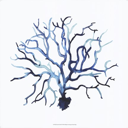 Framed Fan de la Mer II Print