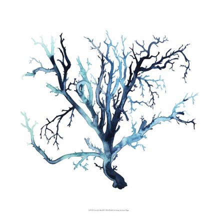 Framed Fan de la Mer III Print