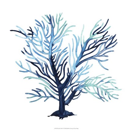 Framed Fan de la Mer V Print