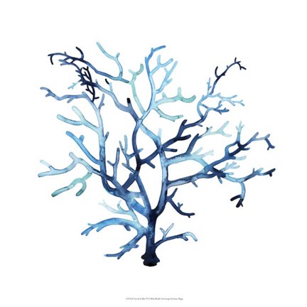 Framed Fan de la Mer VI Print