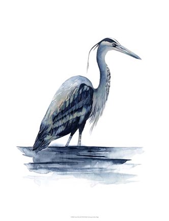 Framed Azure Heron II Print