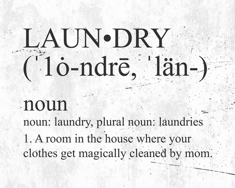 Framed Laundry Definition Print