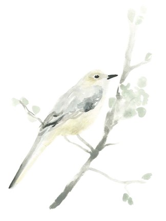 Framed Avian Impressions II Print