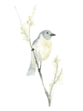 Framed Avian Impressions III Print