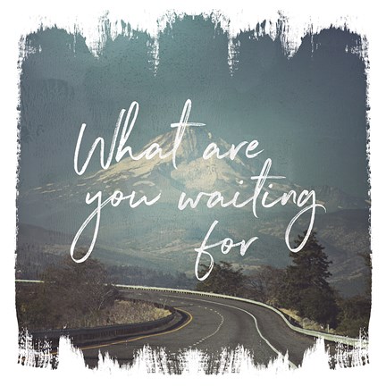 Framed Wild Wishes III Print