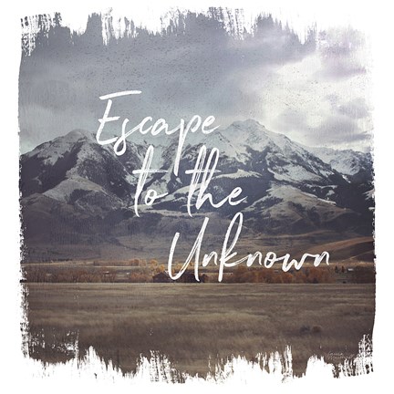 Framed Wild Wishes IV Print