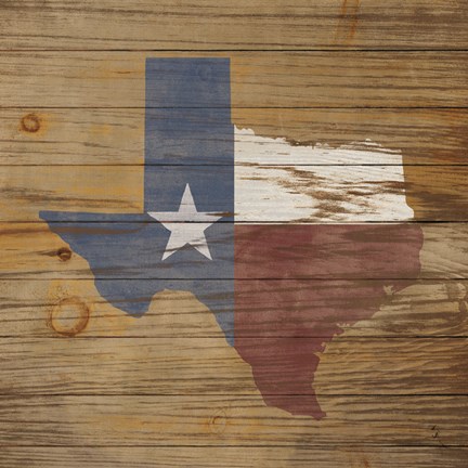 Framed Lone Star Print