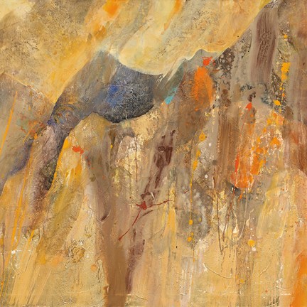 Framed Canyon 3B Print