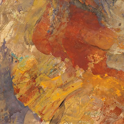 Framed Canyon 3C Print